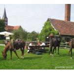 2008-Altmark 016.jpg